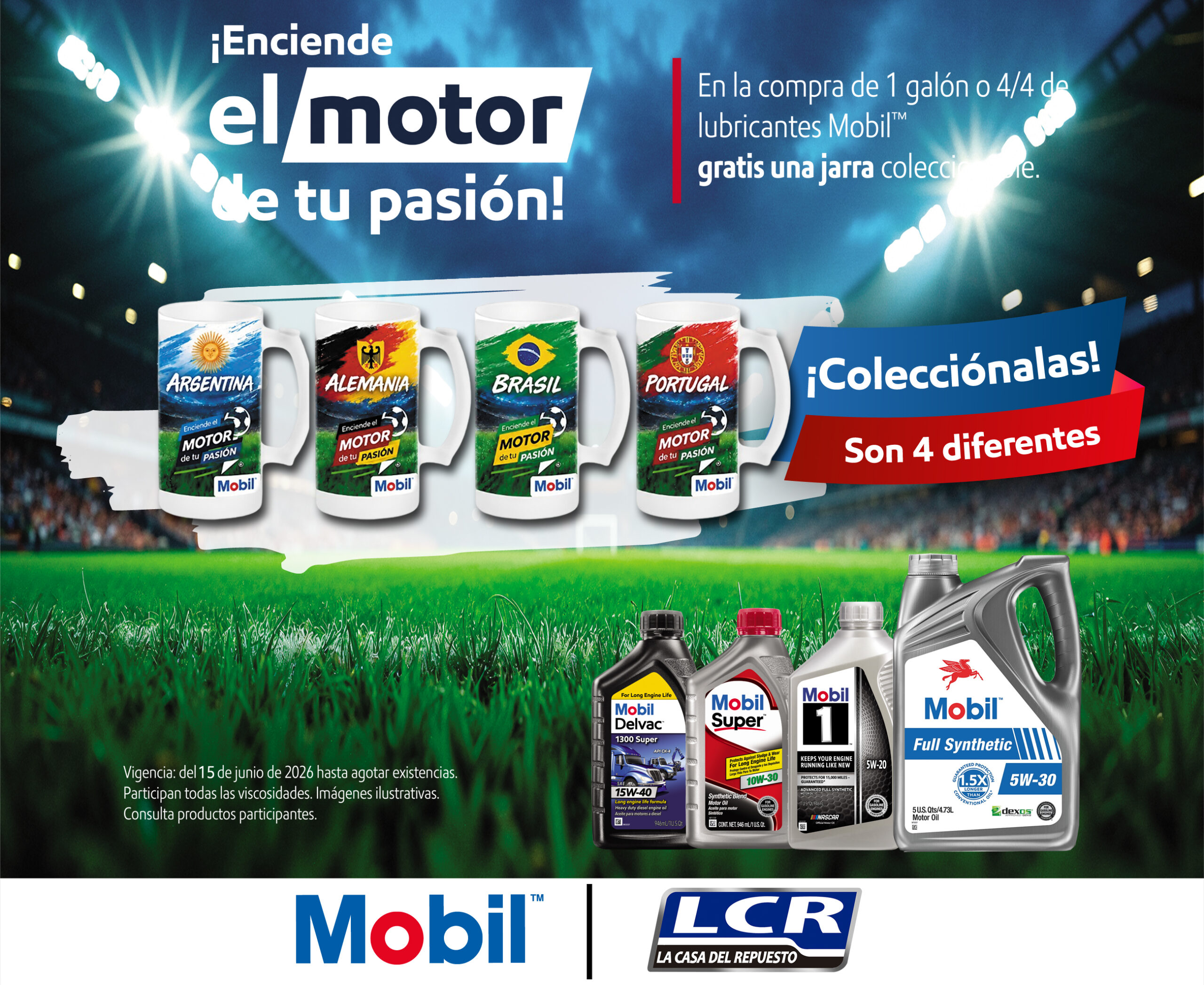 Imagen en cuadricula.jpg